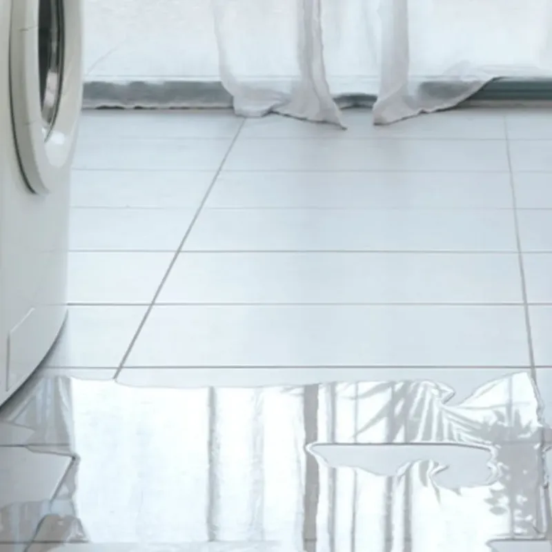 Appliance Leak Cleanup in Trenton, MI