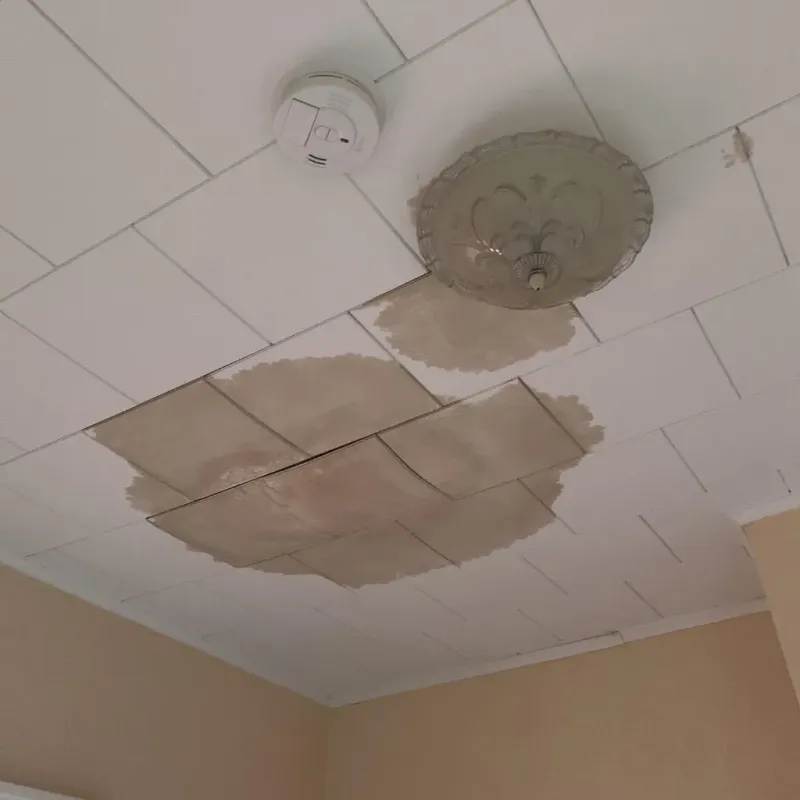 Ceiling Water Damage Repair in Trenton, MI