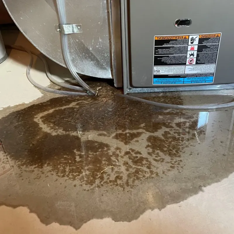 Pipe Burst and Leak Restoration in Trenton, MI